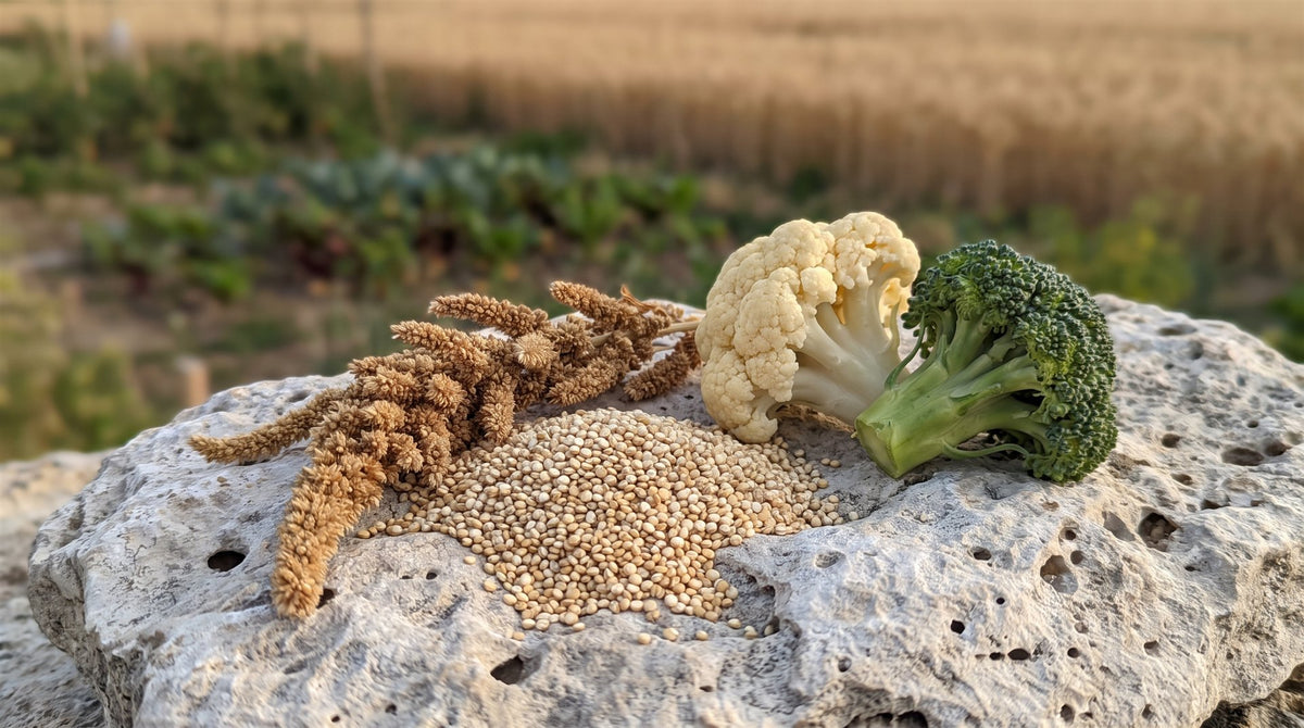 Cholin — Darstellung mit Quinoa, Amaranth, Blumenkohl und Brokkoli