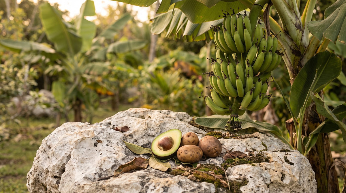 Kalium — Darstellung mit Bananen, Avocado und Kartoffeln