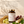 N°01 Glow zwischen den Rohpflanzen der Komposition: Goldhirse, Amla, Trauben, Bambussprosse und Gotu Kola. Bildtext: Haut, Haare & Nägel — sieben Pflanzenextrakte, aufs Milligramm deklariert, mit Biotin, Selen und Vitamin C. Biotin (400 % NRV je Tagesdosis) trägt zur Erhaltung normaler Haut und normaler Haare bei. Selen (82 % NRV je Tagesdosis) trägt zur Erhaltung normaler Haare und normaler Nägel bei.