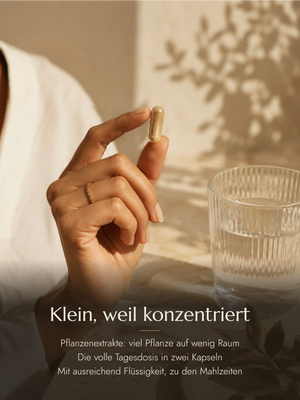 Hand hält eine Kapsel neben einem Wasserglas. Bildtext: Klein, weil konzentriert — Pflanzenextrakte: viel Pflanze auf wenig Raum. Die volle Tagesdosis in zwei Kapseln. Mit ausreichend Flüssigkeit, zu den Mahlzeiten.