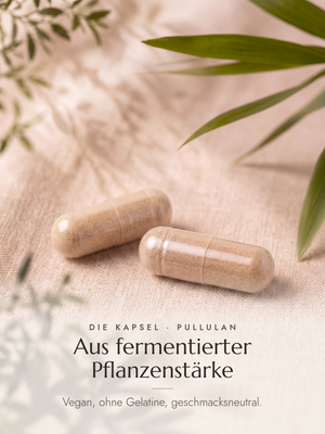 Zwei Pullulan-Kapseln auf beigem Leinen. Bildtext: Die Kapsel aus Pullulan — aus fermentierter Pflanzenstärke, vegan, ohne Gelatine, geschmacksneutral.